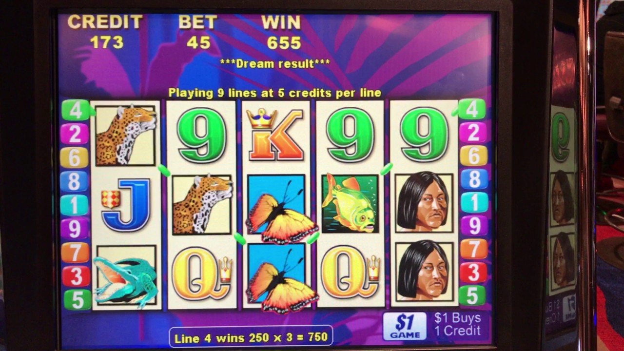 bet on democratic primary