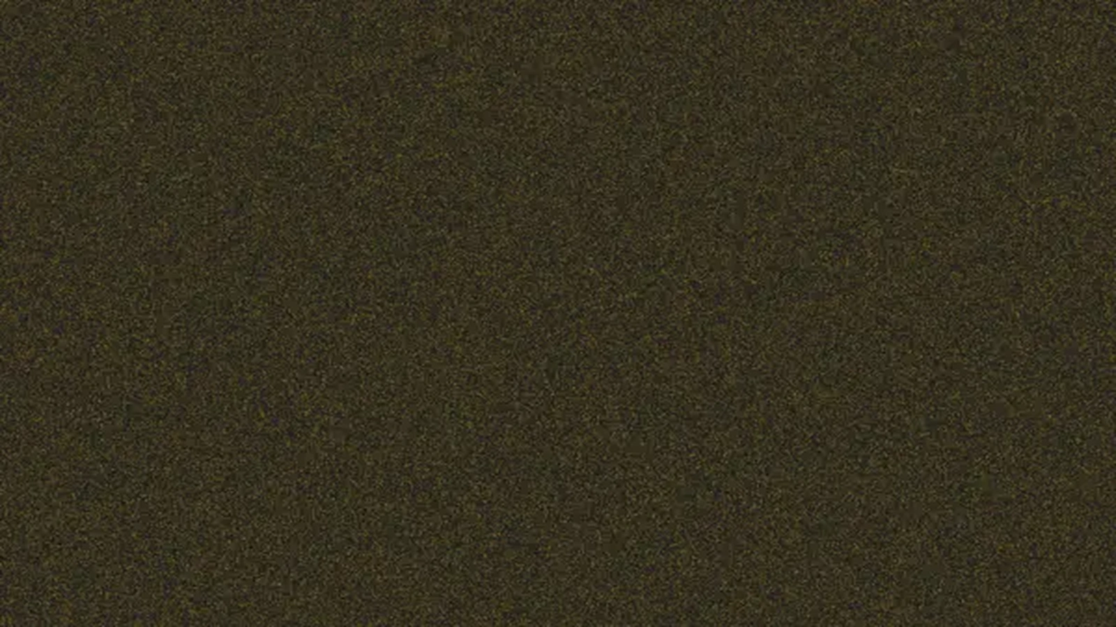 bet explorer nfl